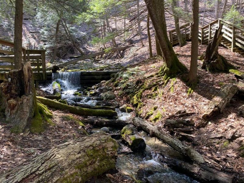 Iargo Springs Boardwalk Retreat