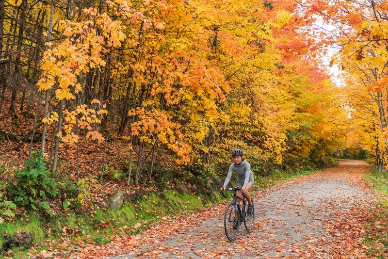 Scenic Valley Escape In Lanesboro