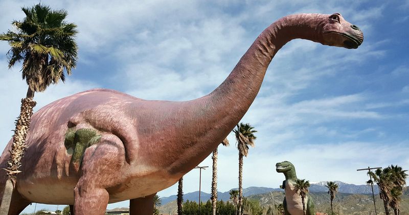 Quirky Roadside Attractions