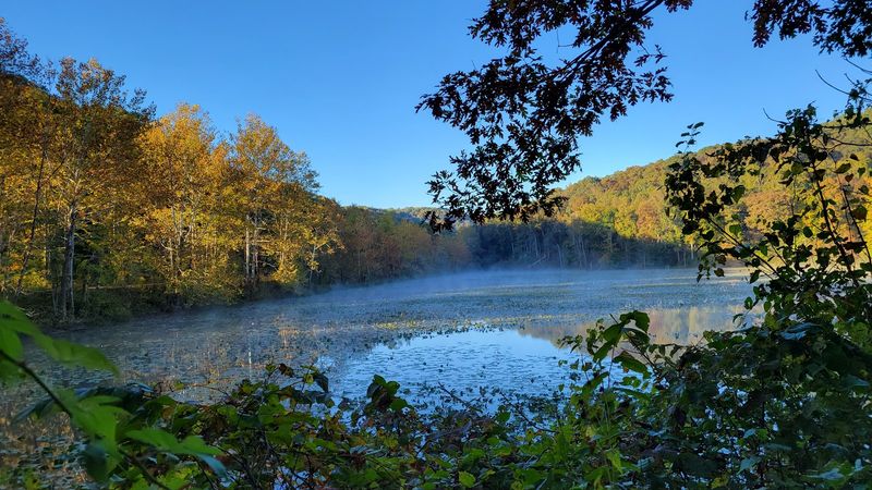 Zaleski State Forest: Remote Hillsides with Golden Views