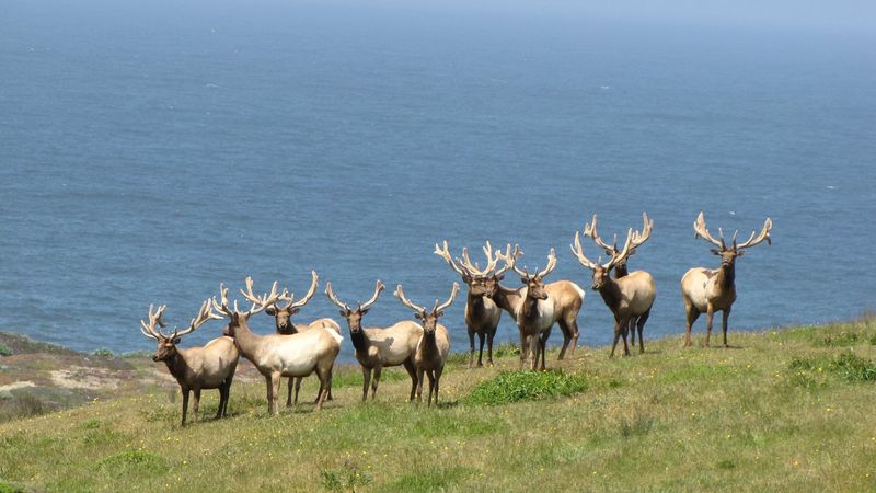 Point Reyes National Seashore 