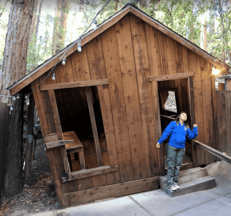 The Mystery Spot: Where Gravity Goes Haywire