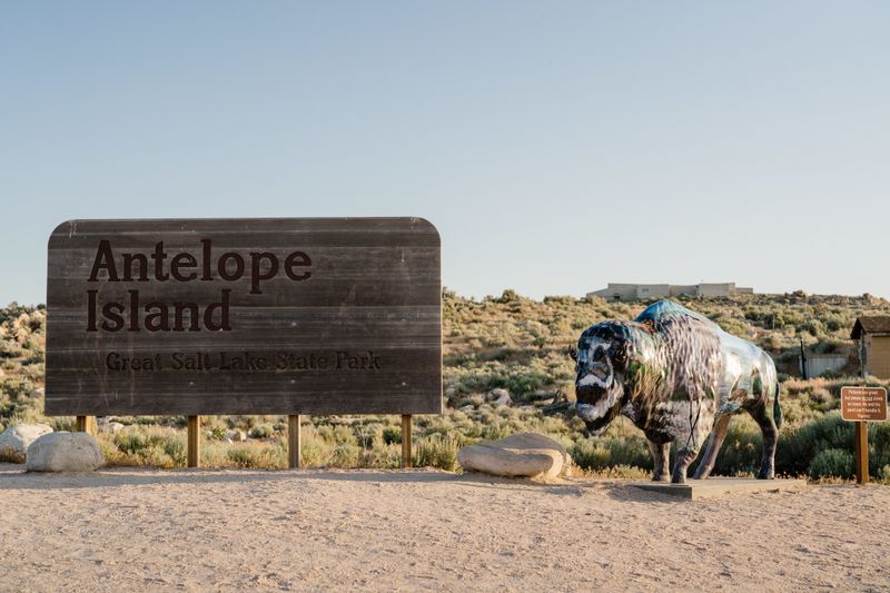 Antelope Island State Park: Once Quiet, Now Packed With Day-Trippers