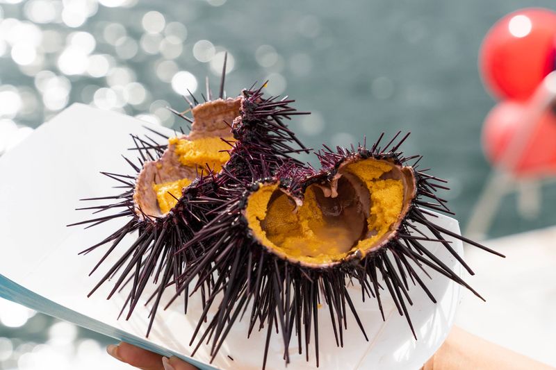 Santa Barbara's Sea Urchin Capital