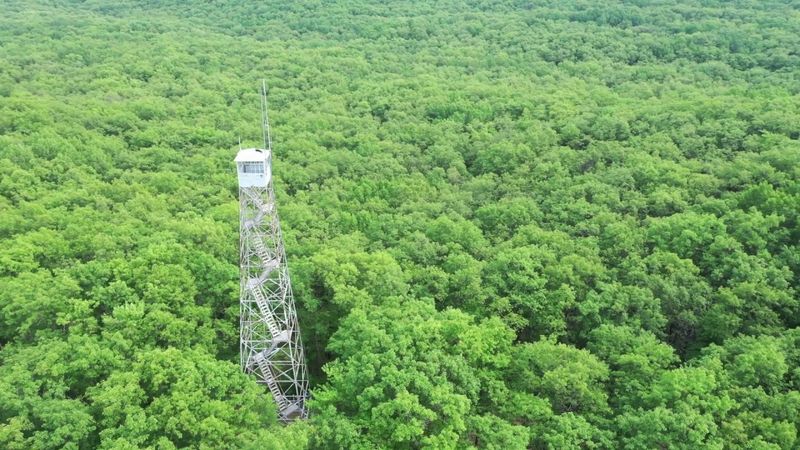Udell Lookout Tower's Forest Canopy View