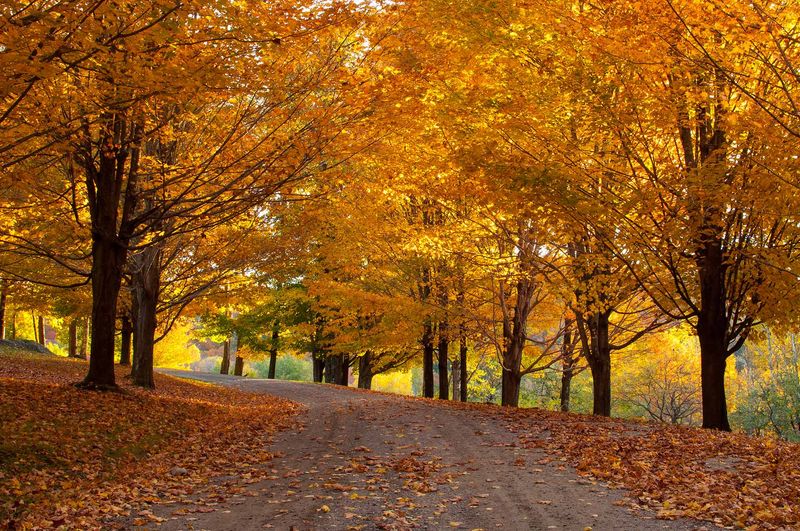 Green Mountain Byway