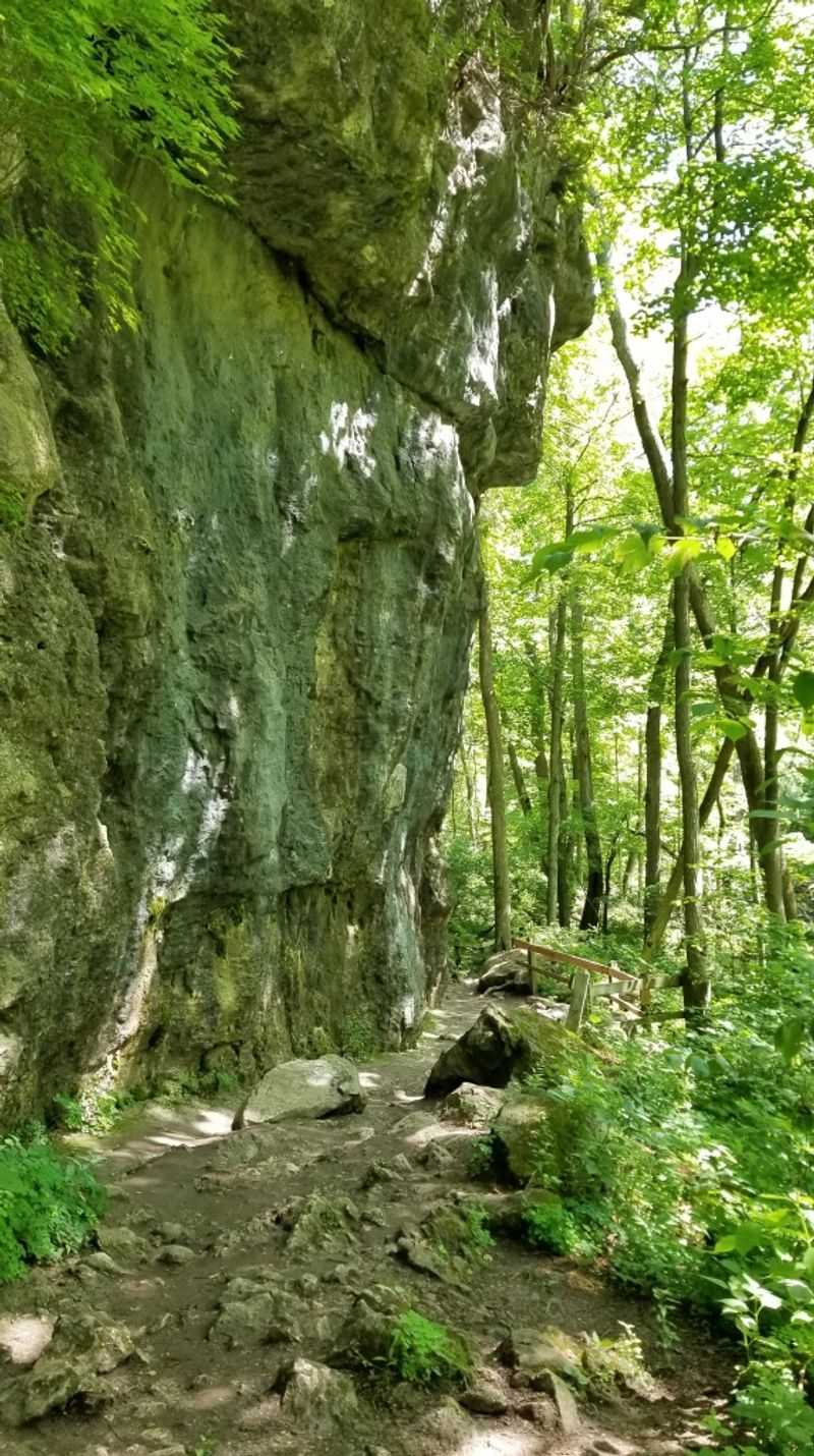 Lookout Trail Overlook in John Bryan State Park: Limestone Cliffs Above the River
