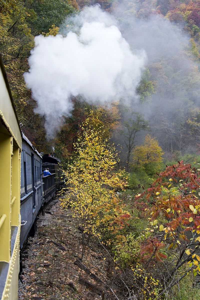 Durbin Rocket's Riverside Steam Experience