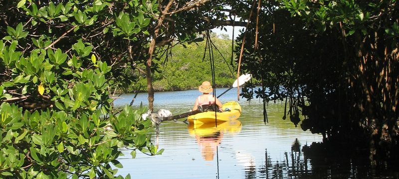 Pine Island Canal (Southwest Florida)