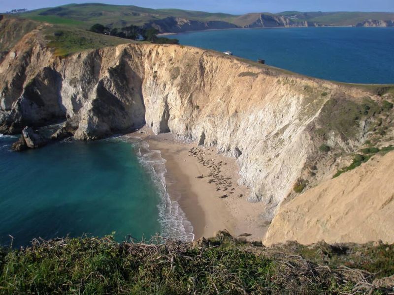 Point Reyes: Coastal Wilderness Turned Weekend Hotspot