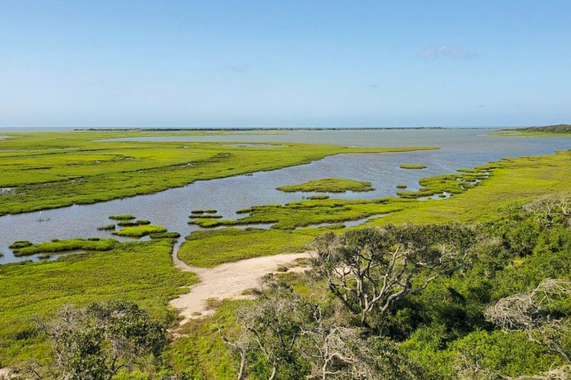 Big Boggy National Wildlife Refuge: Untouched Coastal Wilderness