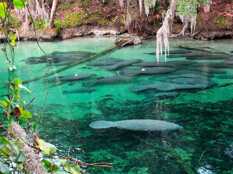 Natural Springs and Eco-Adventures