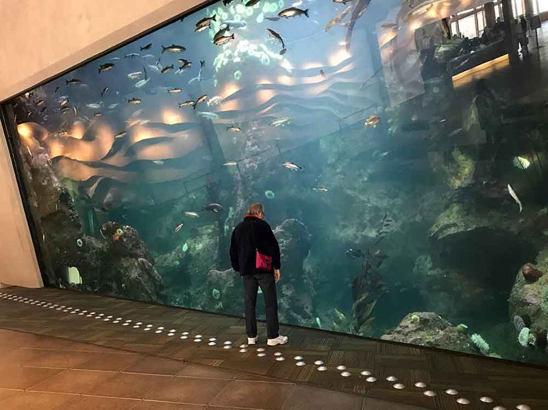 Seattle Aquarium