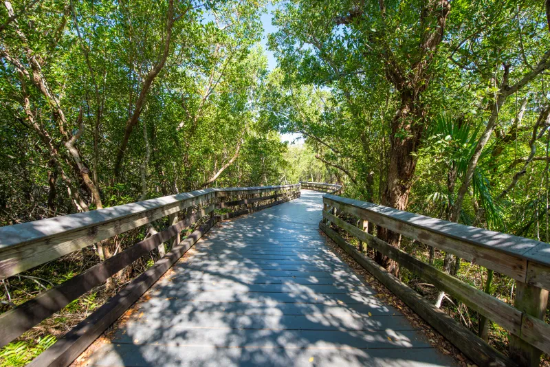 Clam Pass Park