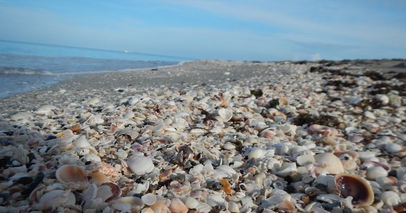 Caspersen Beach