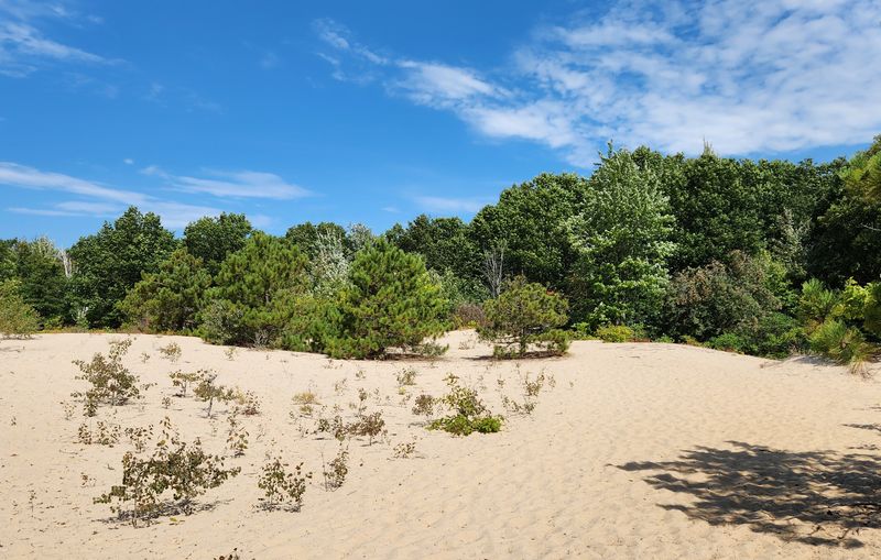 Houdek Dunes Natural Area