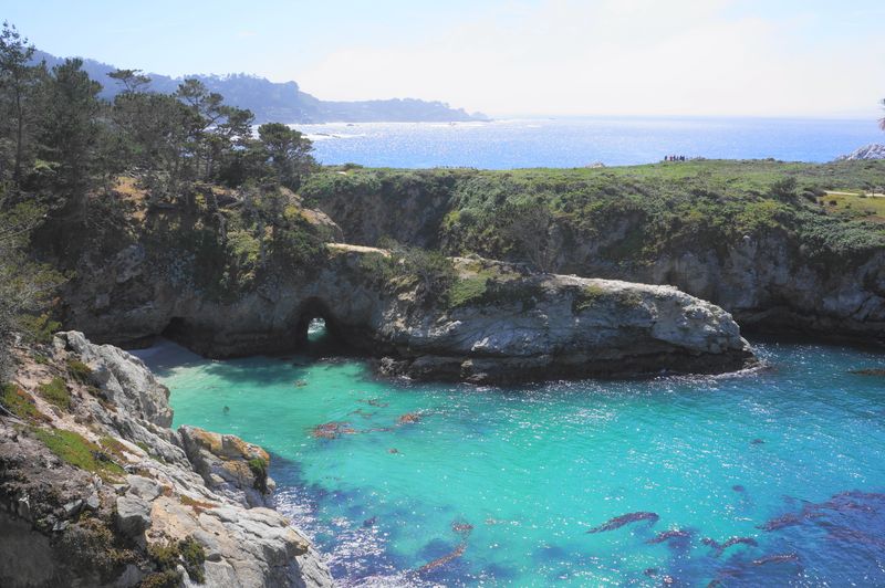 Point Lobos State Reserve's Wildlife Watching