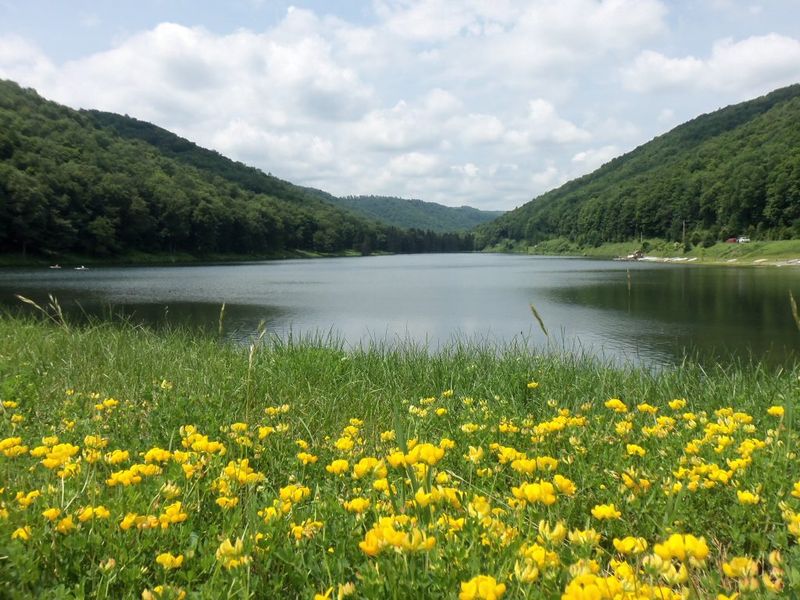 Raccoon Creek State Park: Wildflower Reserve and Scenic Lake