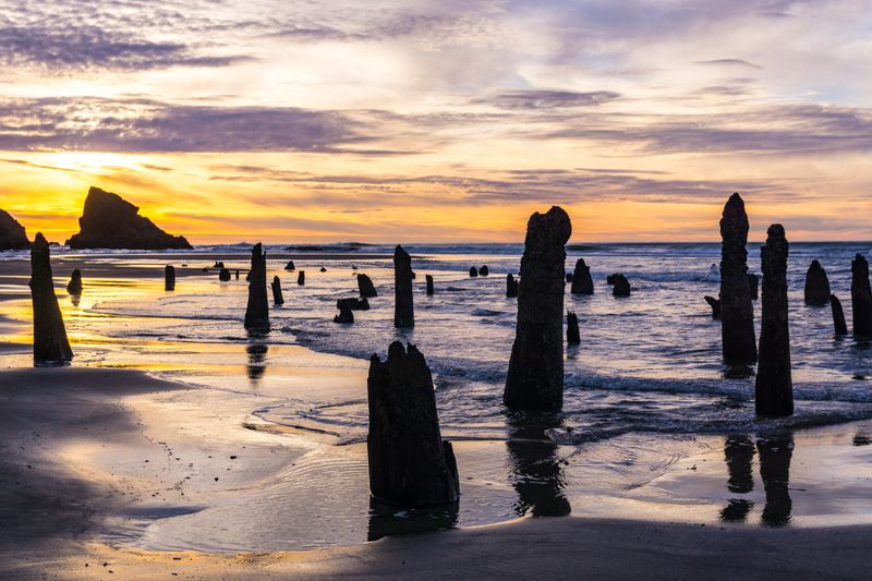 Neskowin: Home of the Ghost Forest