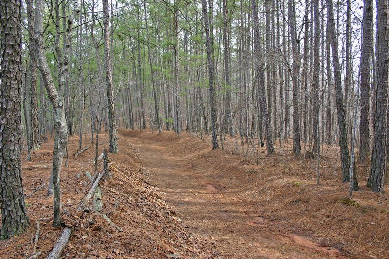 Pickett’s Mill Battlefield Historic Site