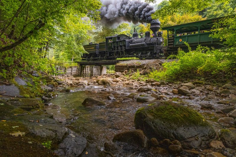 Mountain Rail Adventures' Cheat Mountain Salamander