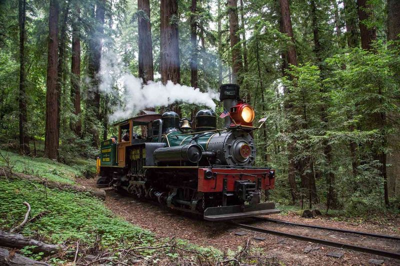 Roaring Camp Railroad: Redwood Forest Time Machine
