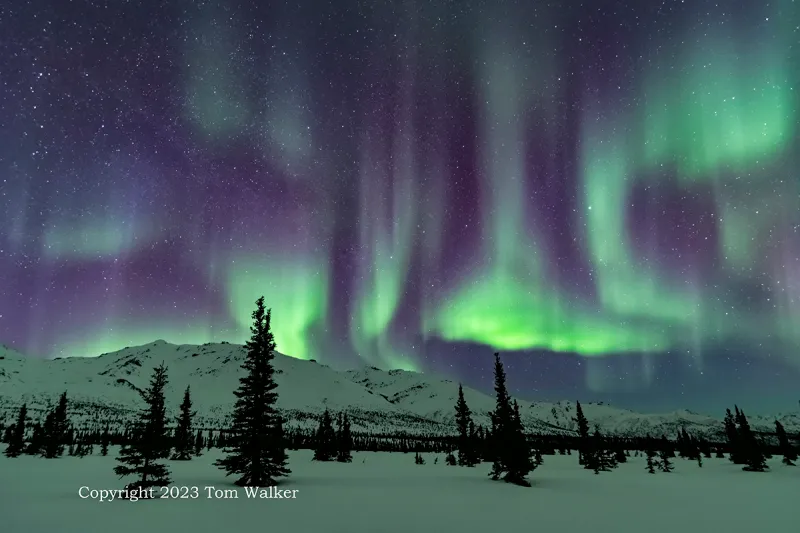 Talkeetna: Charming Base for Aurora Adventures