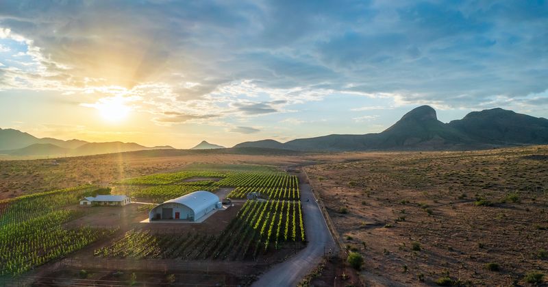 Sonoita: Wine Country Community Shaped by Out-of-Town Crowds