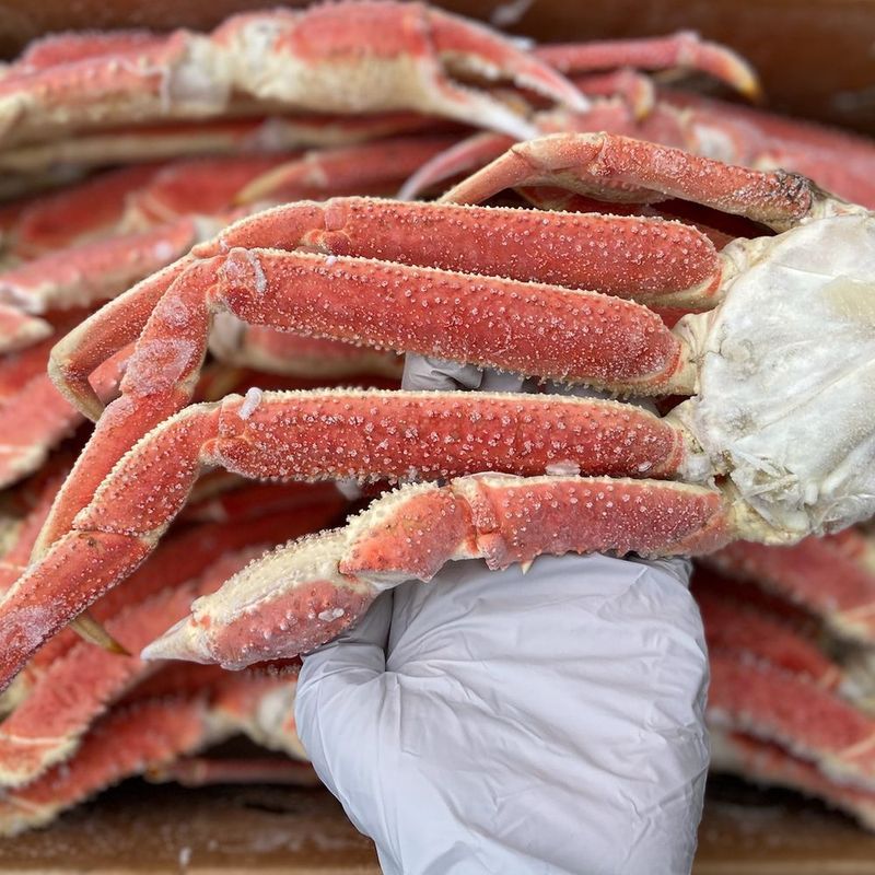 Texas Buffet - Houston's Weekend Crab Leg Destination