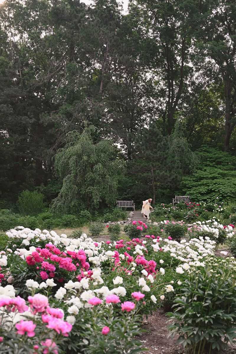 Nichols Arboretum (The Arb)