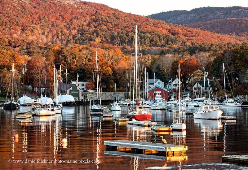 Camden's Harbor Splendor