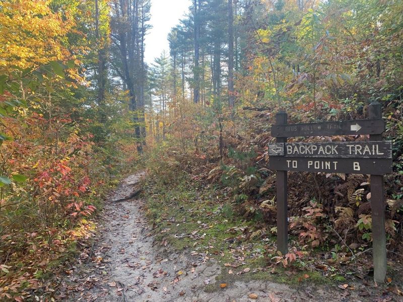 Zaleski State Forest Backpack Trail