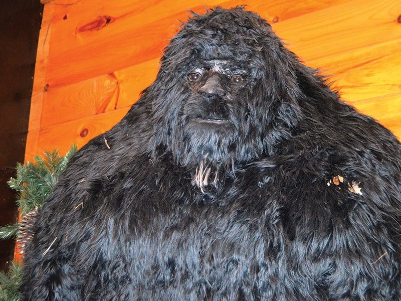 Expedition: Bigfoot, Cherry Log, GA