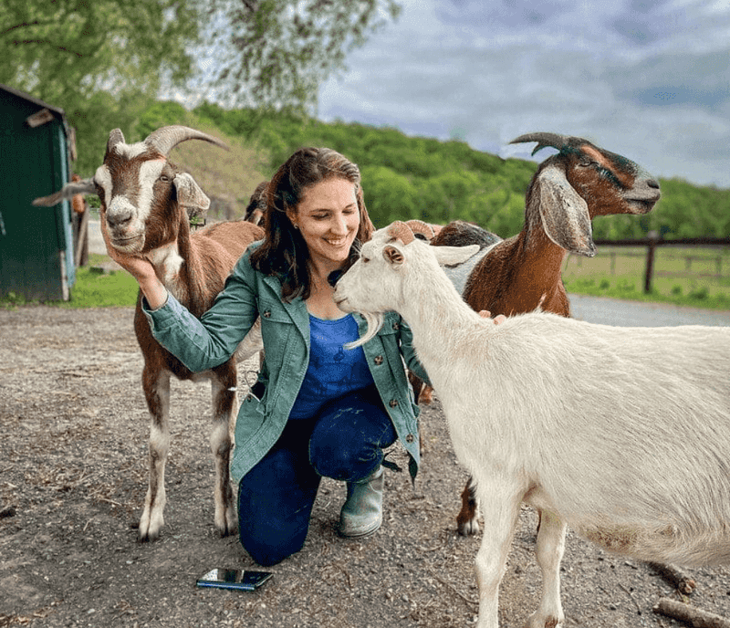 Catskill Animal Sanctuary - Saugerties