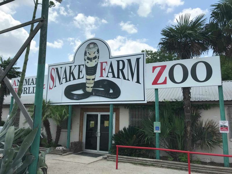 The Texas Snake Farm: Reptilian Roadside Wonder