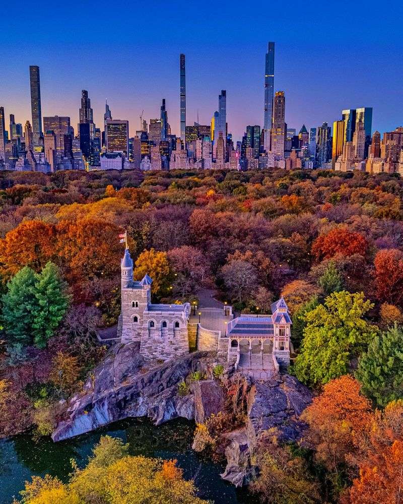 Central Park from Belvedere Castle Overlooking the Trees