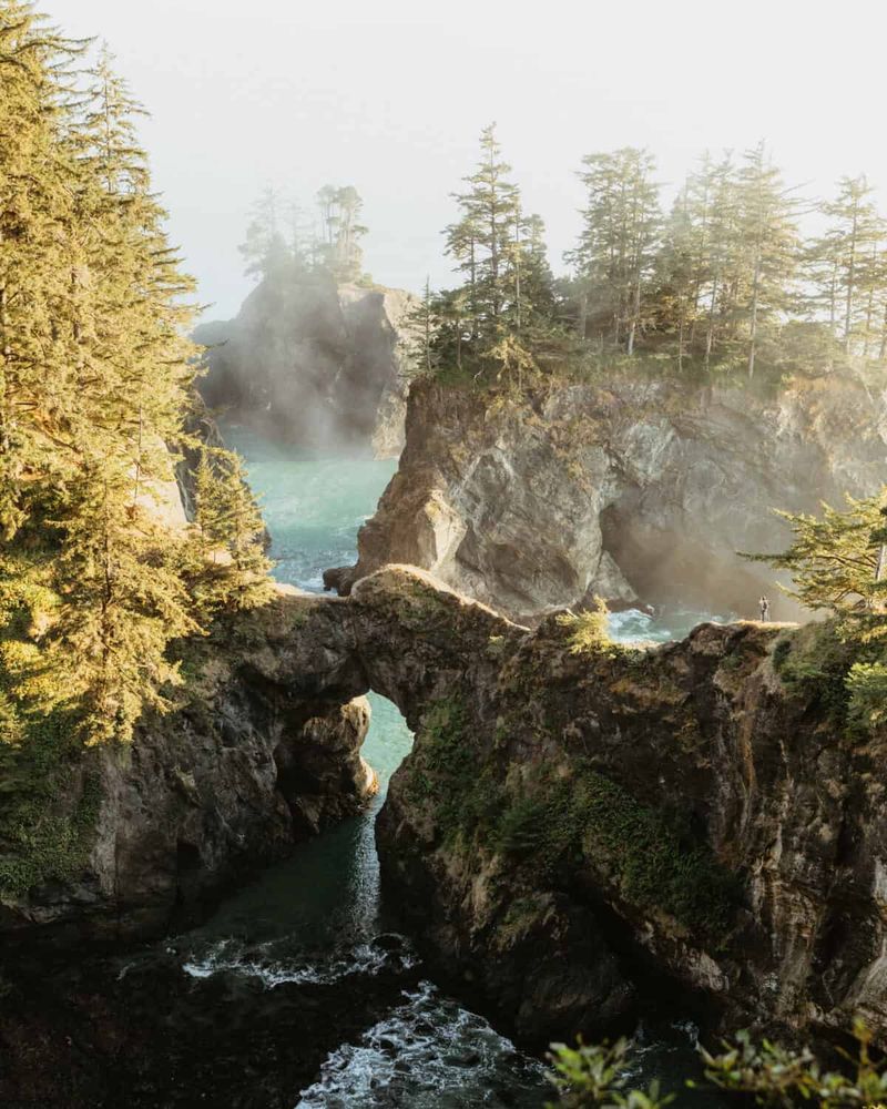 Samuel H. Boardman Scenic Corridor: Coastal Gem Overwhelmed