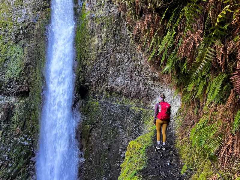 Eagle Creek Trail: Paradise Lost in the Columbia Gorge
