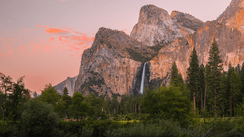 Frustrating reservation systems