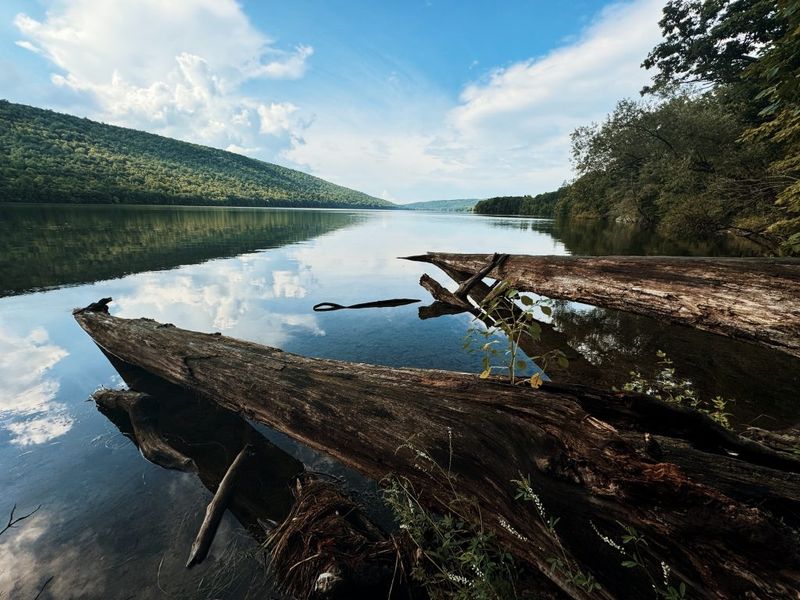 Hemlock and Canadice Lakes Scenic Byway