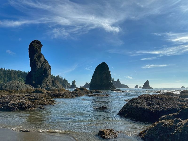 Shi Shi Beach: Where Wilderness Meets Ocean