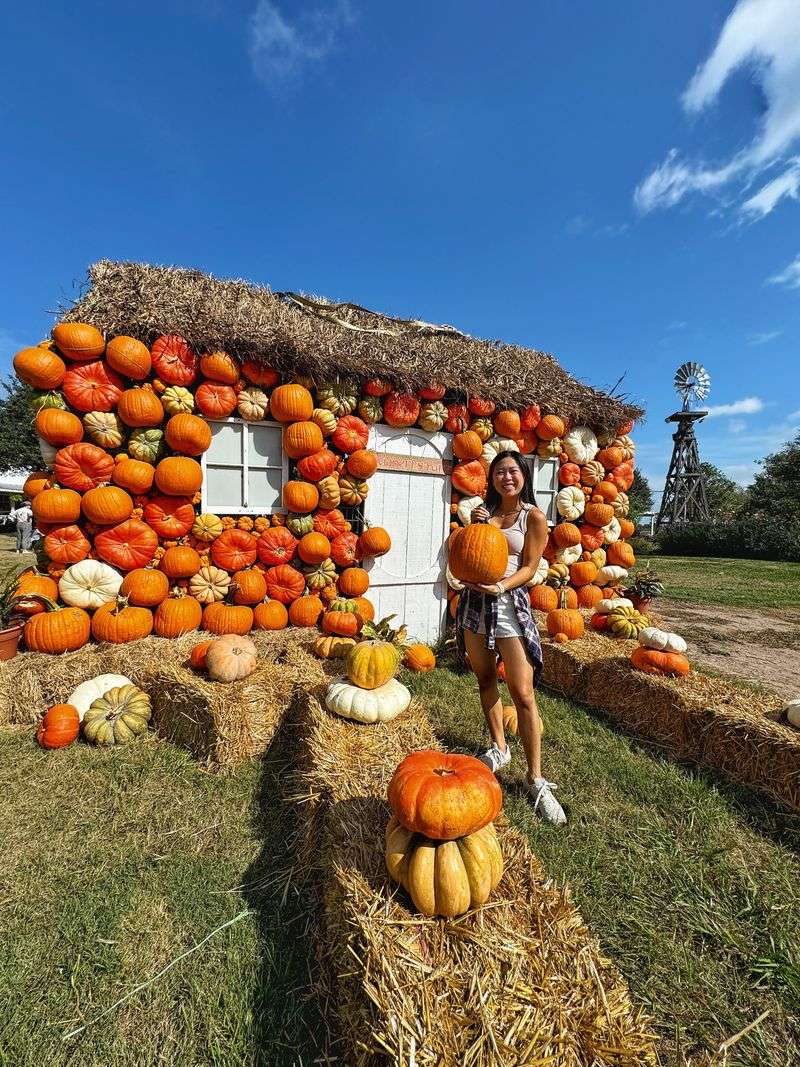 Dewberry Farm - Brookshire