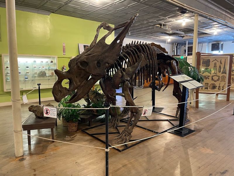 Buena Vista Museum of Natural History & Science