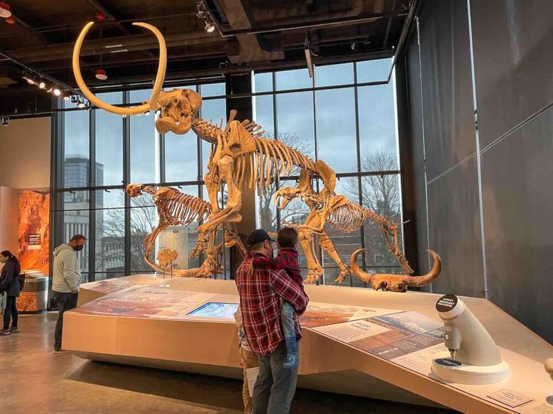 Burke Museum of Natural History and Culture (Seattle)