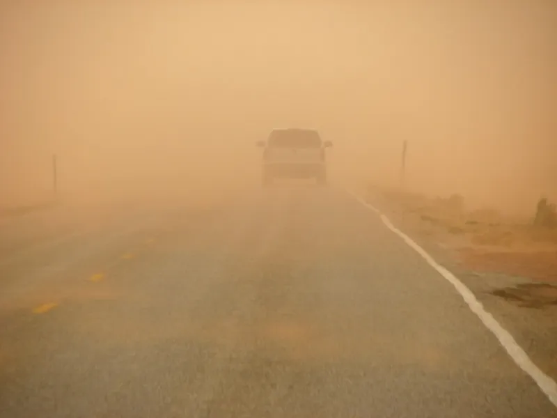 Respect The Wind In West Texas
