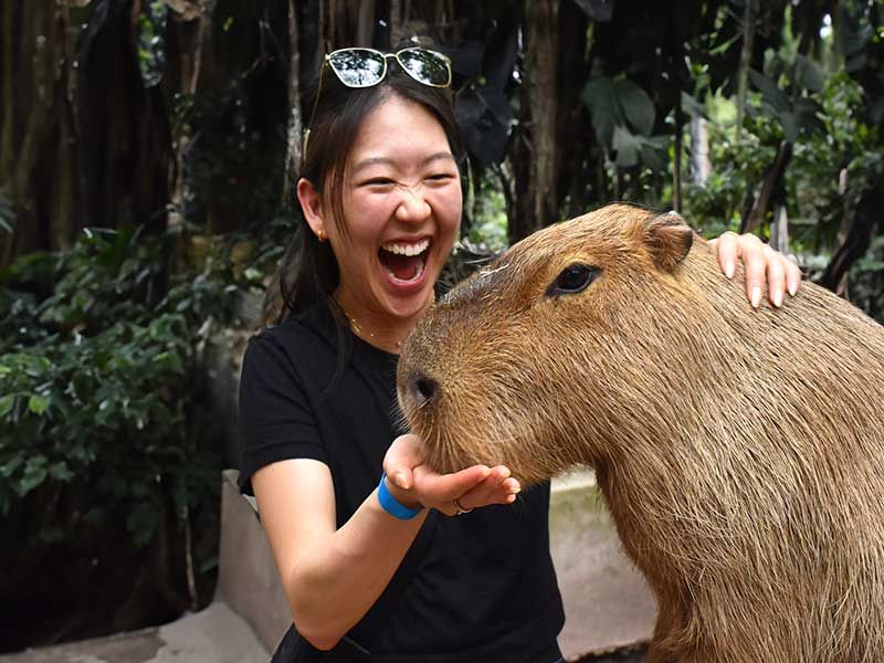 Jungle Island's Faded Animal Park