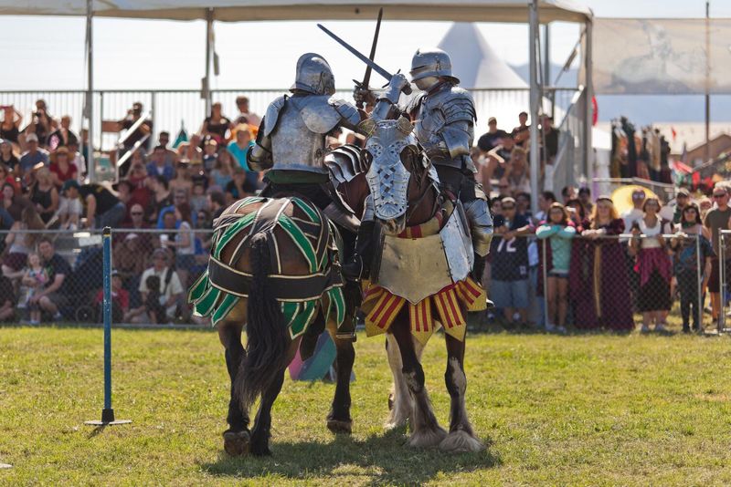 Age of Chivalry Renaissance Fair