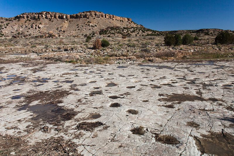 Picketwire Canyonlands' Ancient Treasures