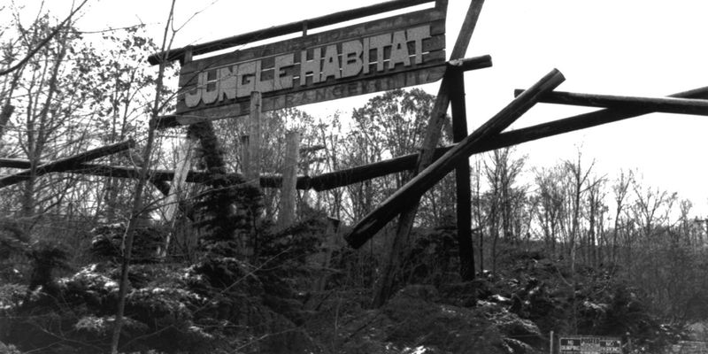 Jungle Habitat: Wild Ruins in West Milford