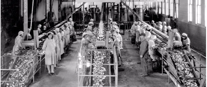 Monterey Bay's Thriving Cannery Row